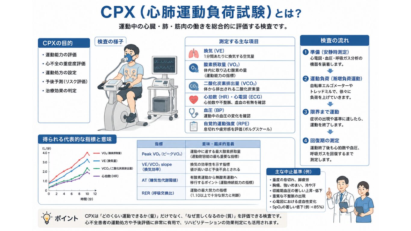 CPX心肺運動負荷試験