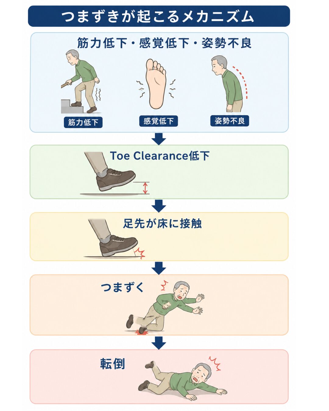 つまずきが起こるメカニズム（Toe Clearance低下のイメージ図）