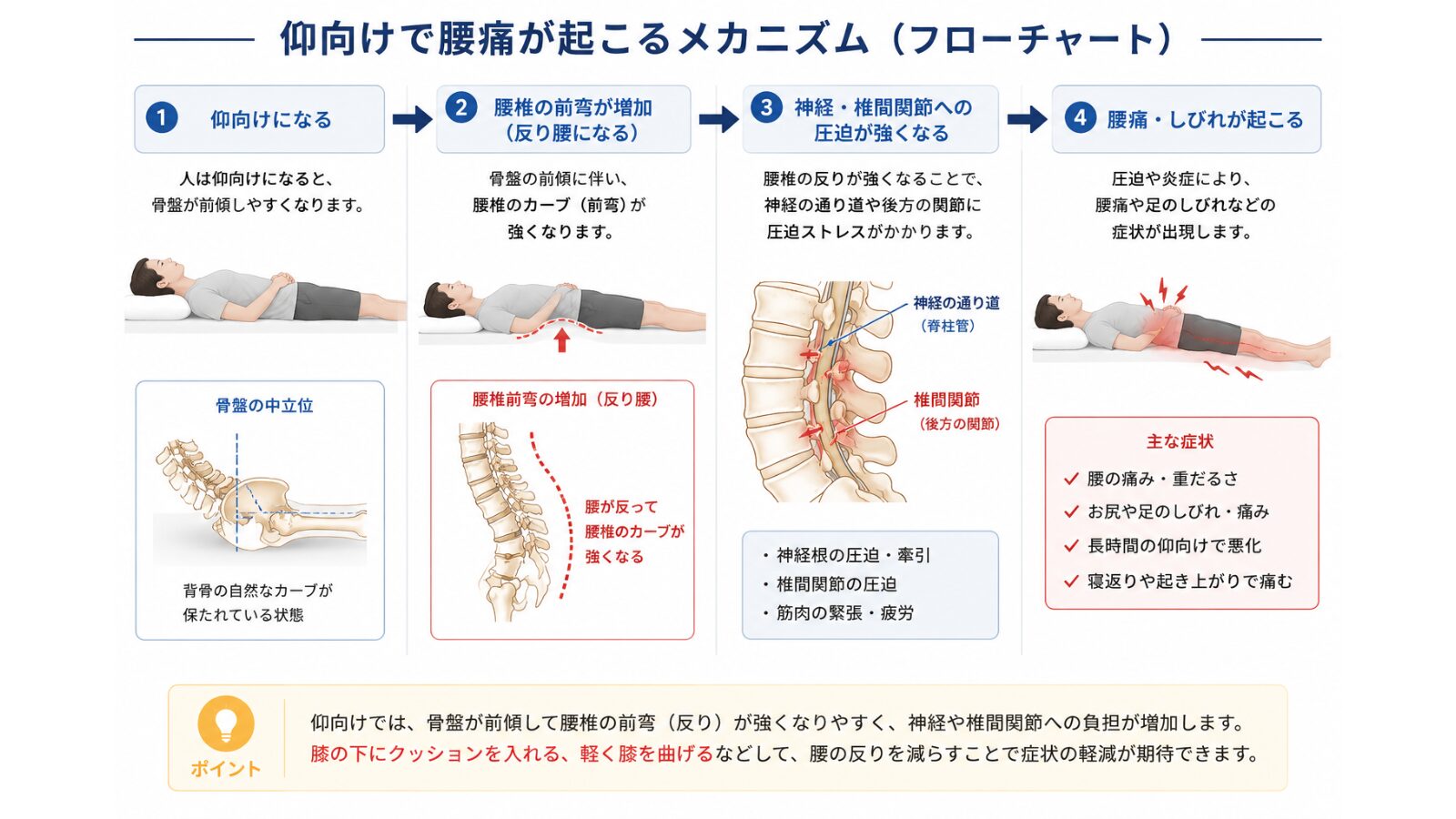 仰向けで腰痛が生じるメカニズム