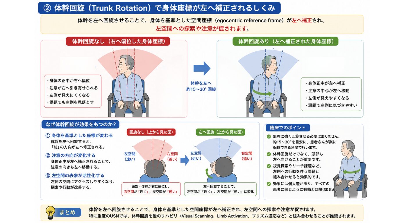 体幹回旋の模式図
