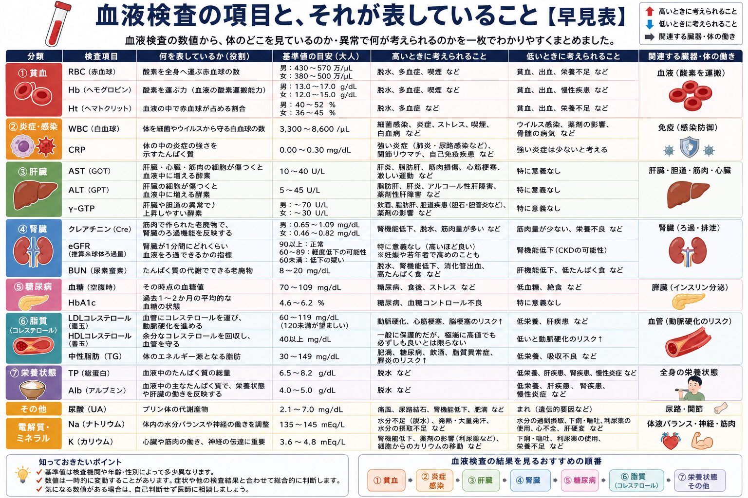 血液検査項目の早見表