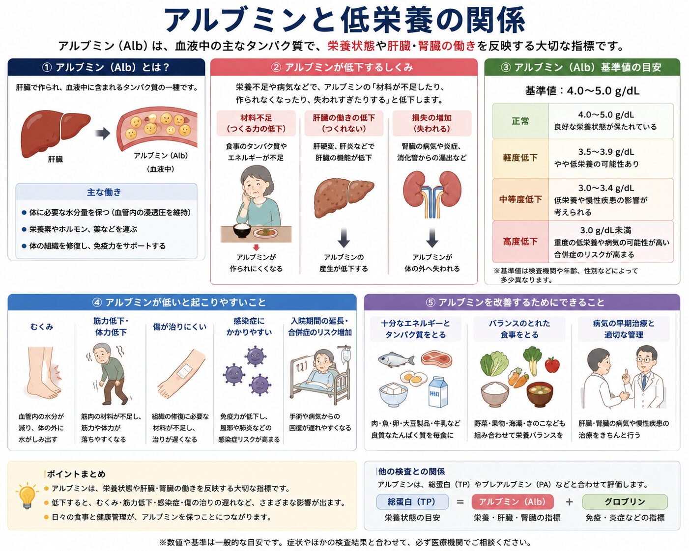 低栄養と筋肉減少の関係