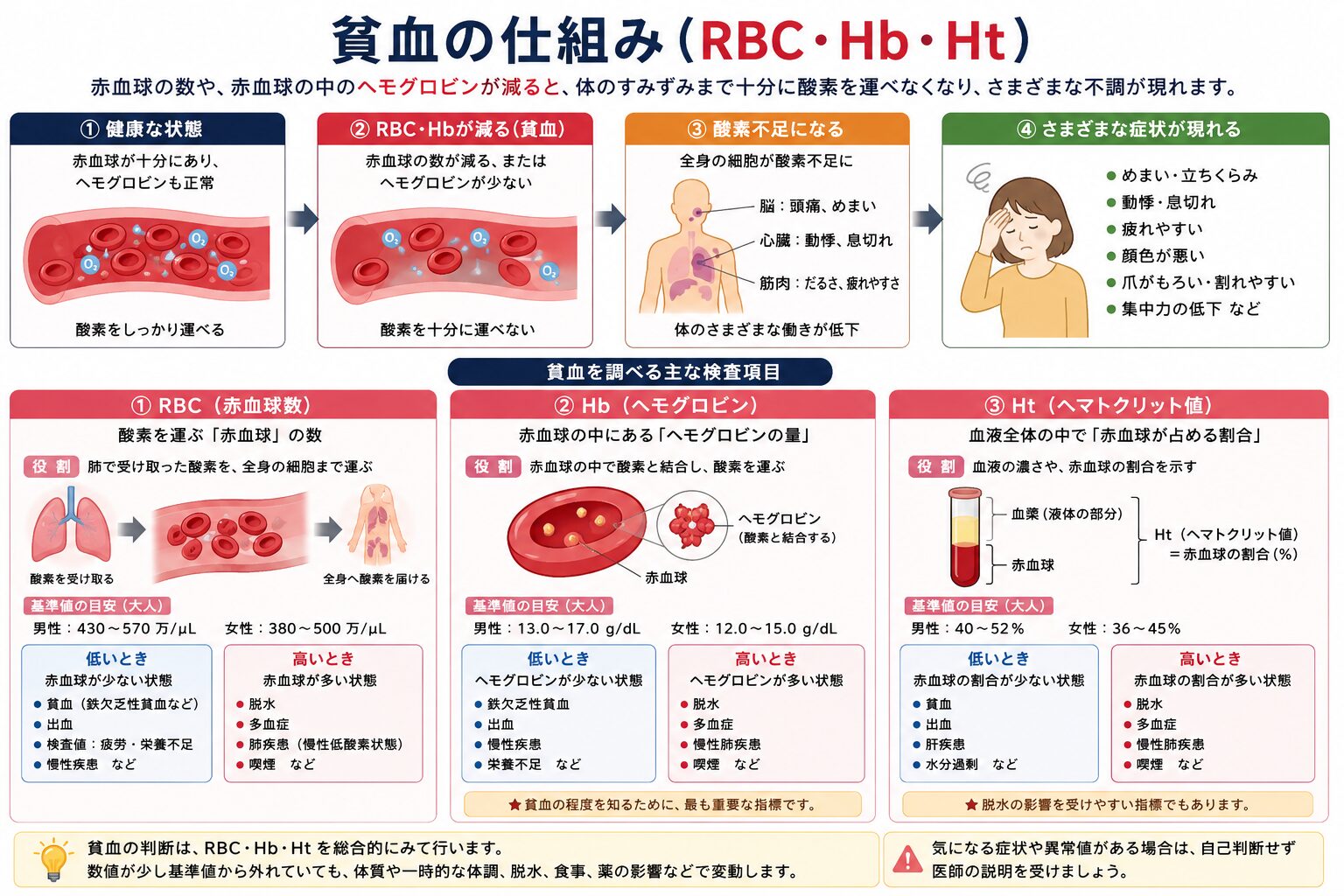 貧血の仕組み