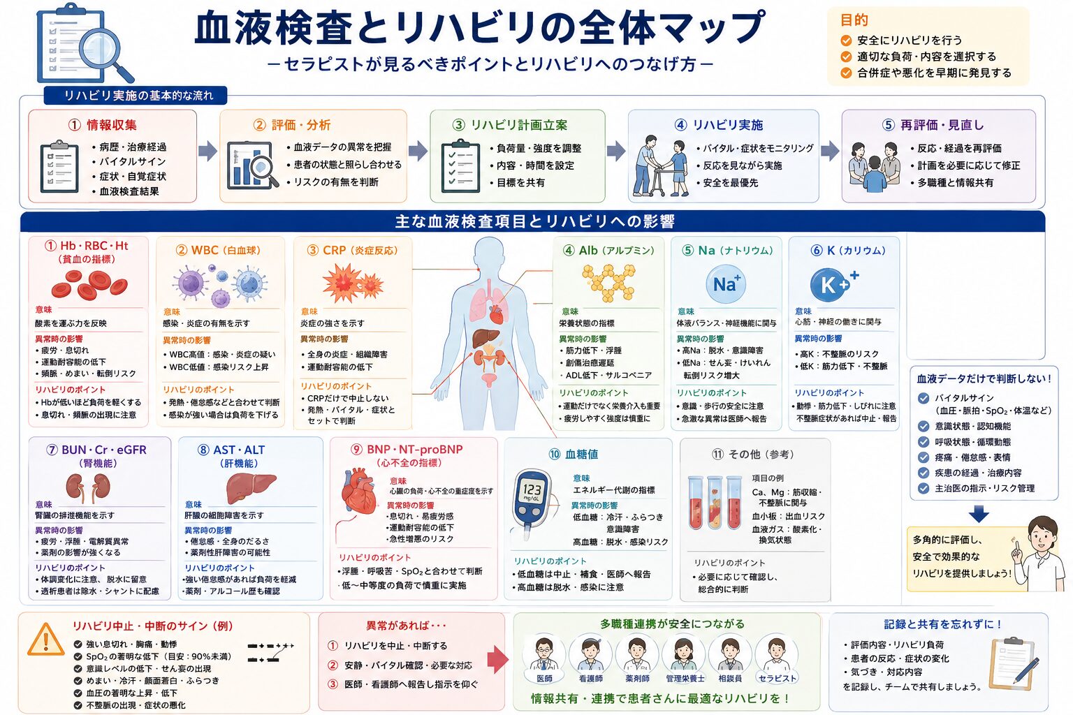 血液検査とリハビリの全体マップ