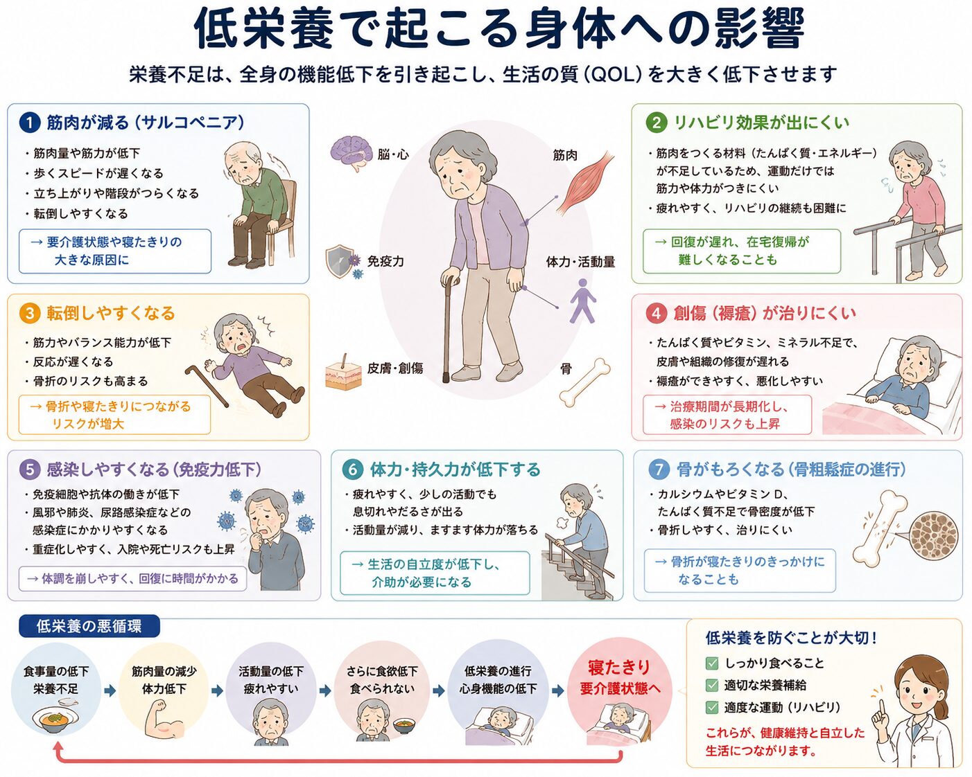 低栄養で身体に起こる影響