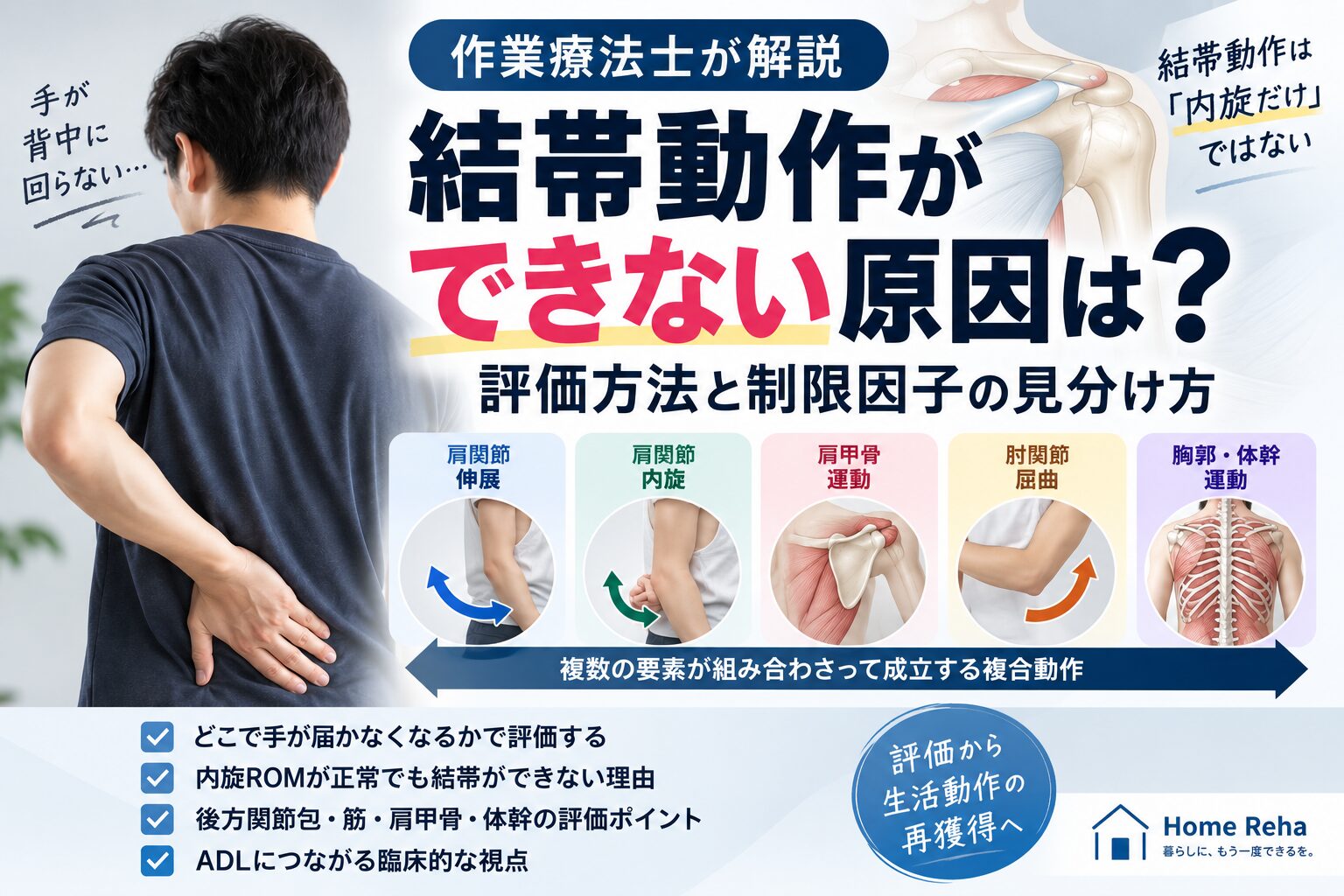 肩関節の痛みと制限因子およびその治療法 DVD3枚 作業療法士が解説】結帯動作ができない原因は？評価方法と制限因子の