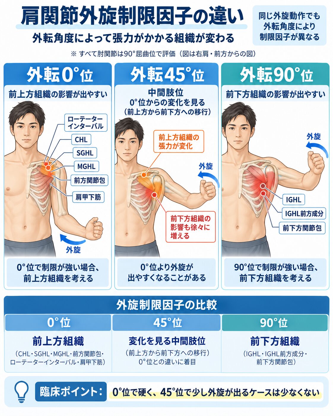 0°・45°・90°肩関節外旋制限因子の違い