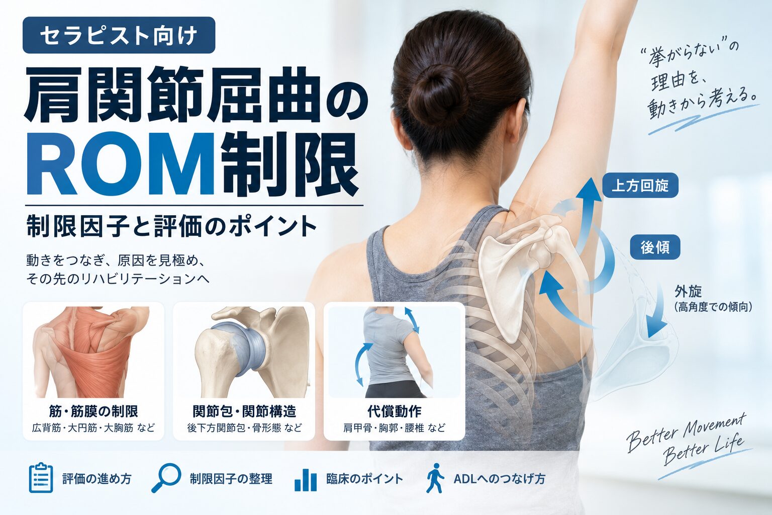 セラピスト向け】肩関節屈曲のROM制限｜制限因子と評価のポイント