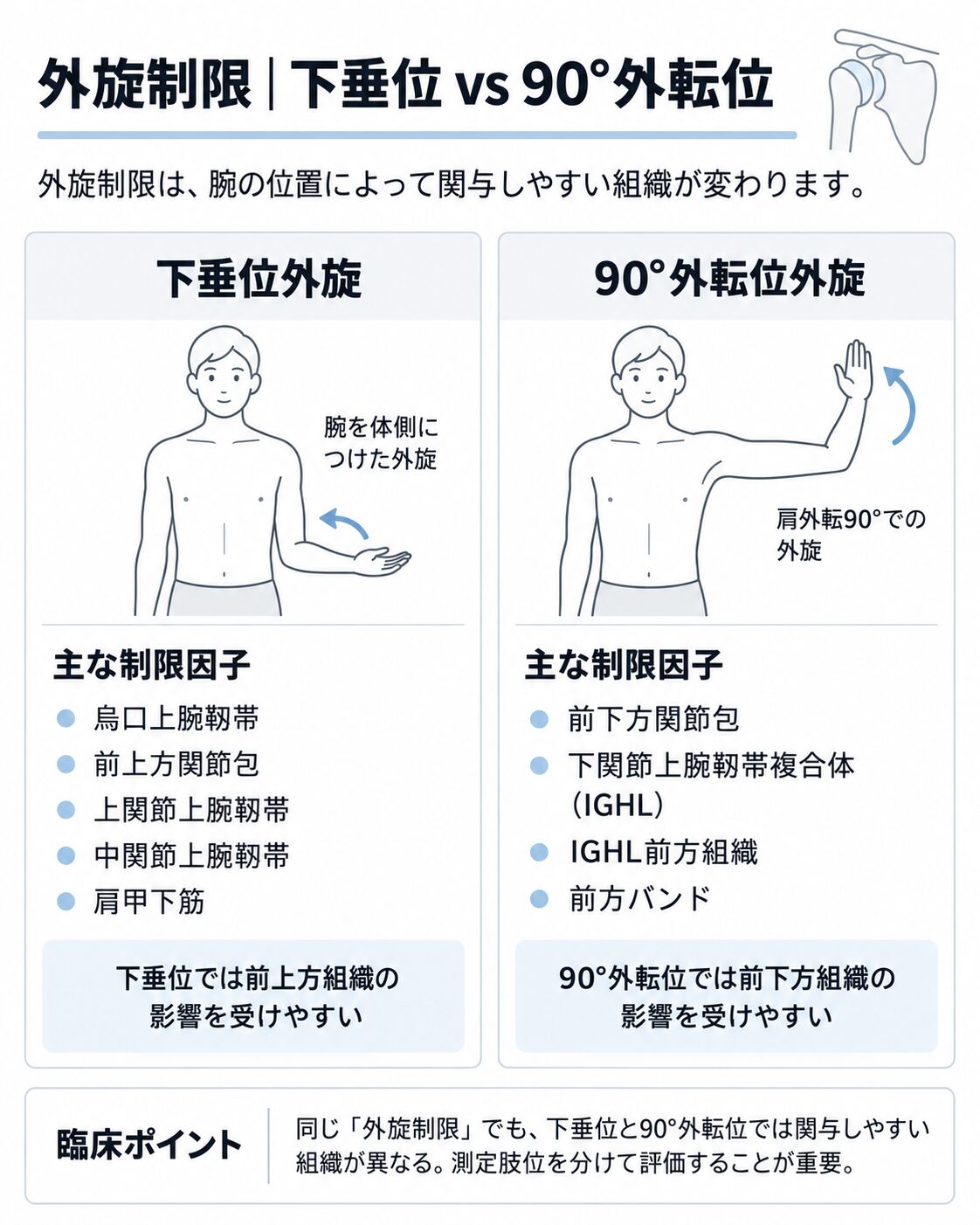 肩関節外旋制限の下垂位と外転90°位での違いを示す図