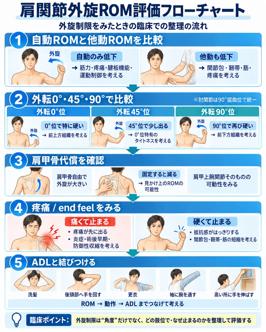 外旋ROM評価フローチャート