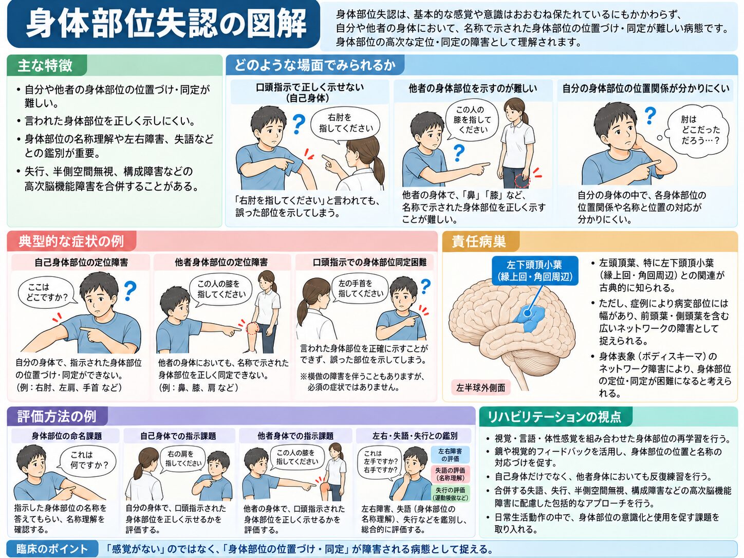 身体部位失認とは(身体部位を正しく指し示せない状態)