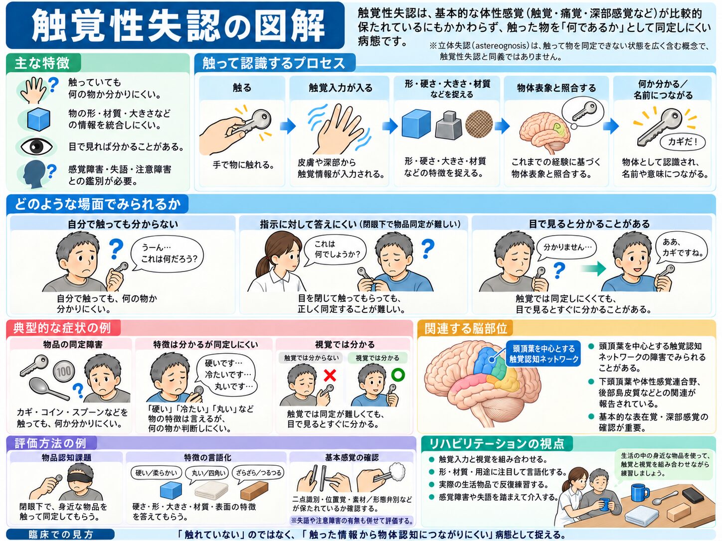 触覚性失認とは(触覚だけでは物体を同定できない状態)