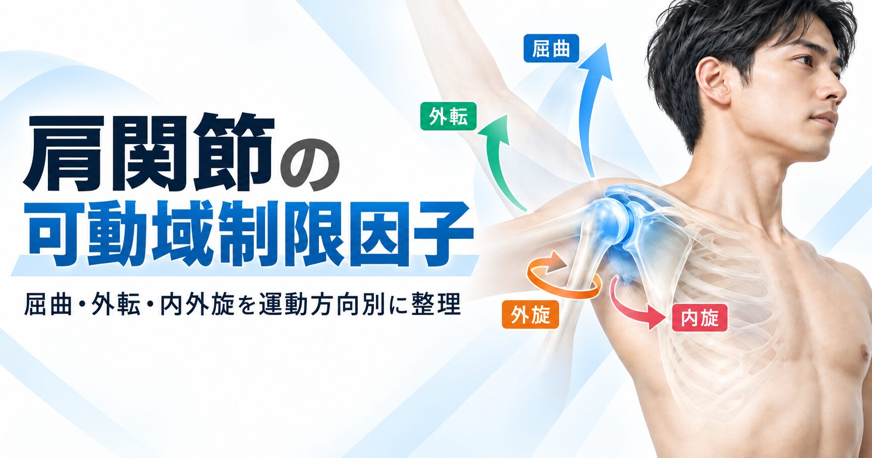 作業療法士が解説】肩関節の可動域制限因子｜屈曲・外転・内外旋を運動