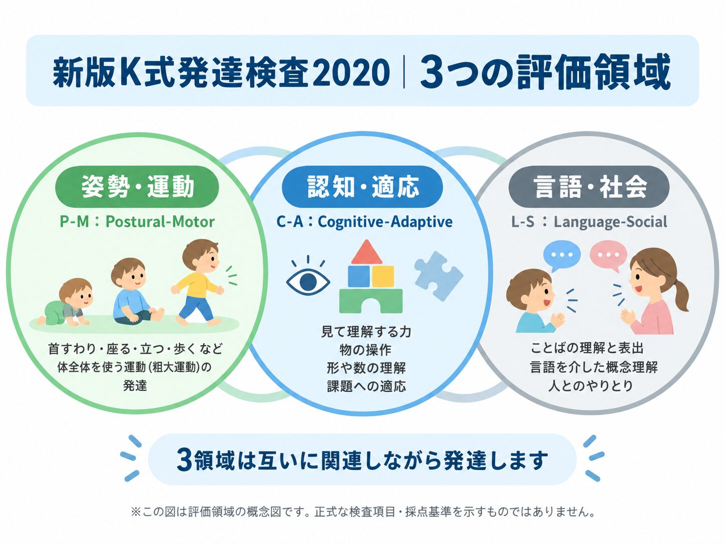 新版K式発達検査の3つの評価領域(姿勢・運動P-M、認知・適応C-A、言語・社会L-S)と、それぞれが主に見る力をまとめた図解