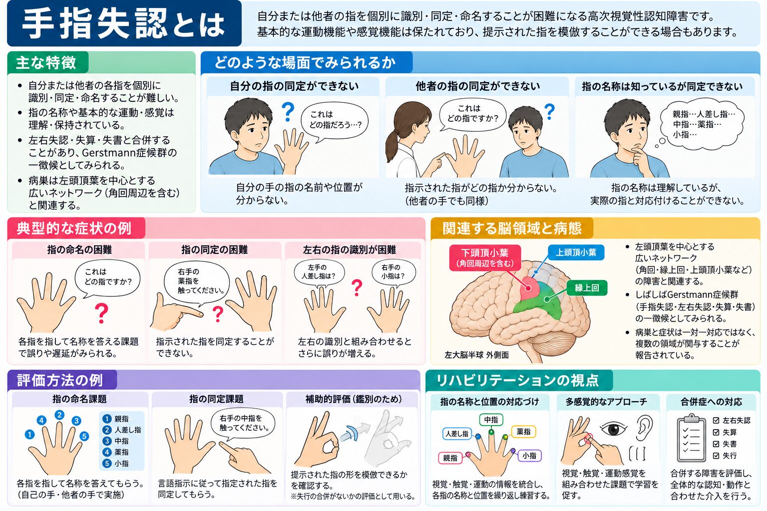 手指失認とは(指を区別・命名できない状態)