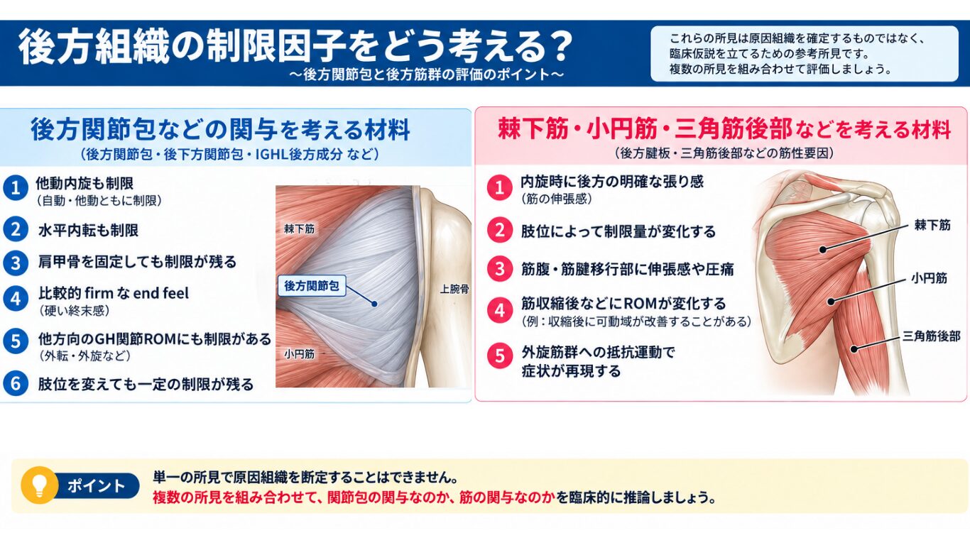 肩関節後方組織（後方関節包・棘下筋・小円筋・三角筋後部）の制限因子イメージ