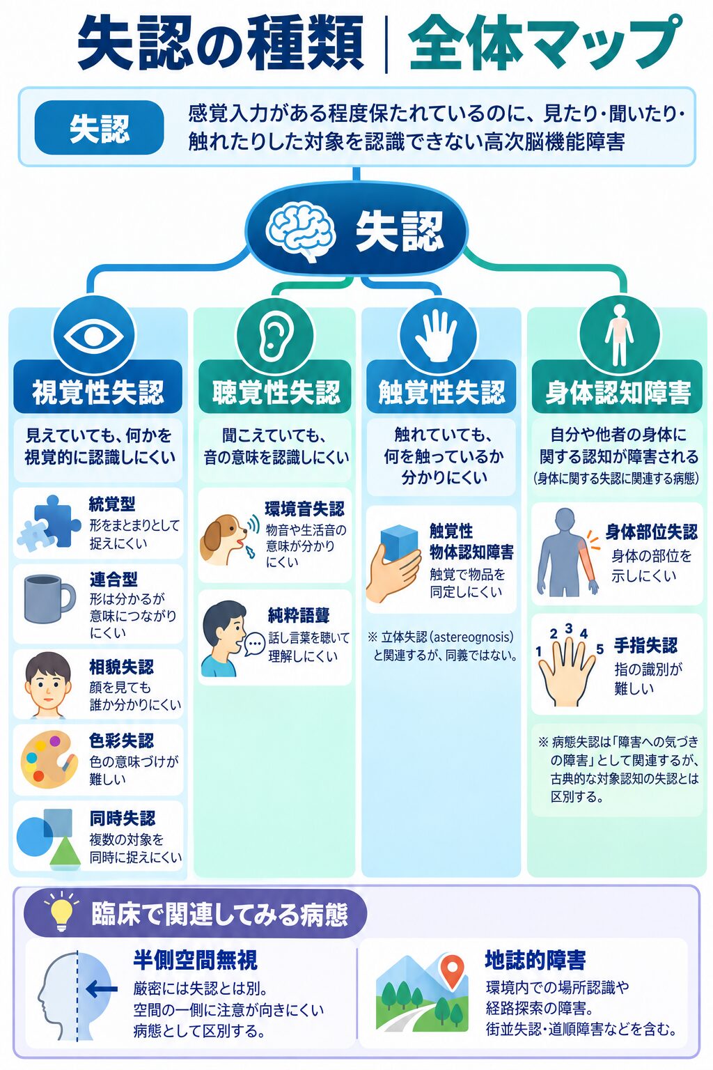 失認の種類の分類図(視覚性・聴覚性・触覚性失認と関連する身体・空間認知の障害)