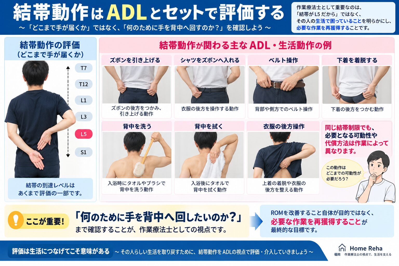 結帯動作とADL（更衣・整容動作）の関連イメージ