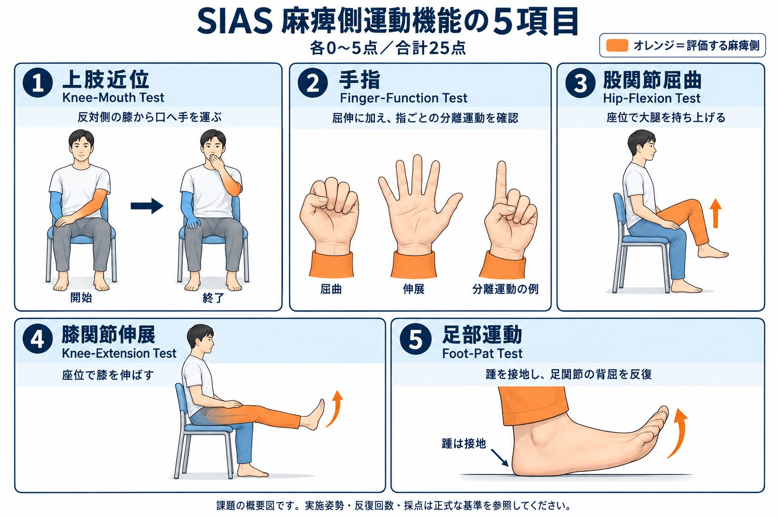 SIAS麻痺側運動機能5項目：上肢近位・手指・股関節屈曲・膝関節伸展・足部運動の課題